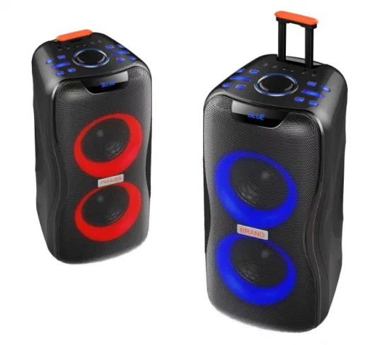 Temeisheng 2022 DJ Box Music MP3 Party Sound Box 100 Вт Профессиональная портативная аудиосистема Беспроводная связь Bluetooth PRO Динамики с микрофоном