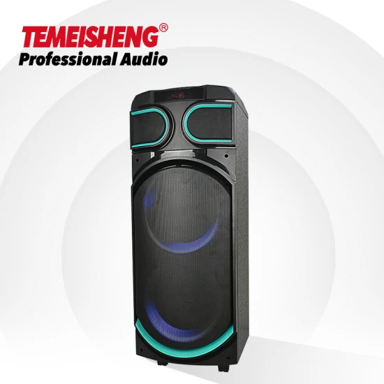 Temeisheng 8-дюймовая вечеринка Box 100 Вт Профессиональный портативный беспроводной аудио Bluetooth-динамик с микрофоном